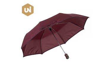 Kości składanego parasola